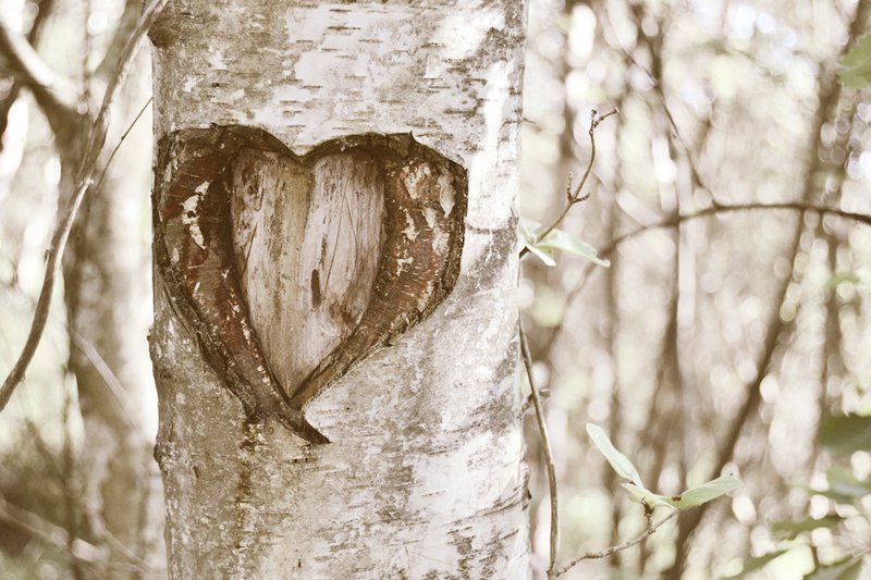 heart-inspo-love-nature